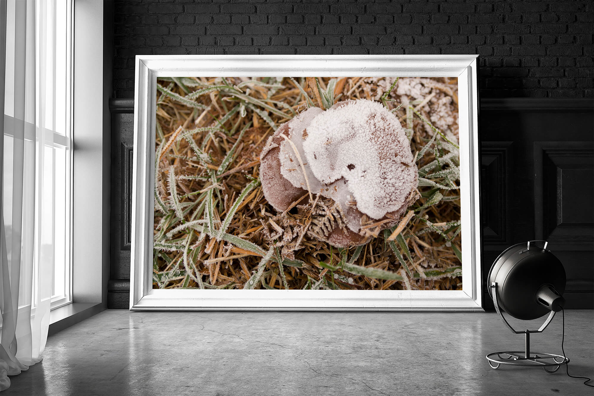 Herfst poster met paddestoelen - Frosty Autumn