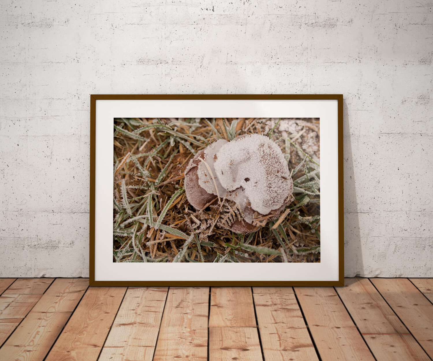 Frosty Autumn Poster - Natuur Wanddecoratie
