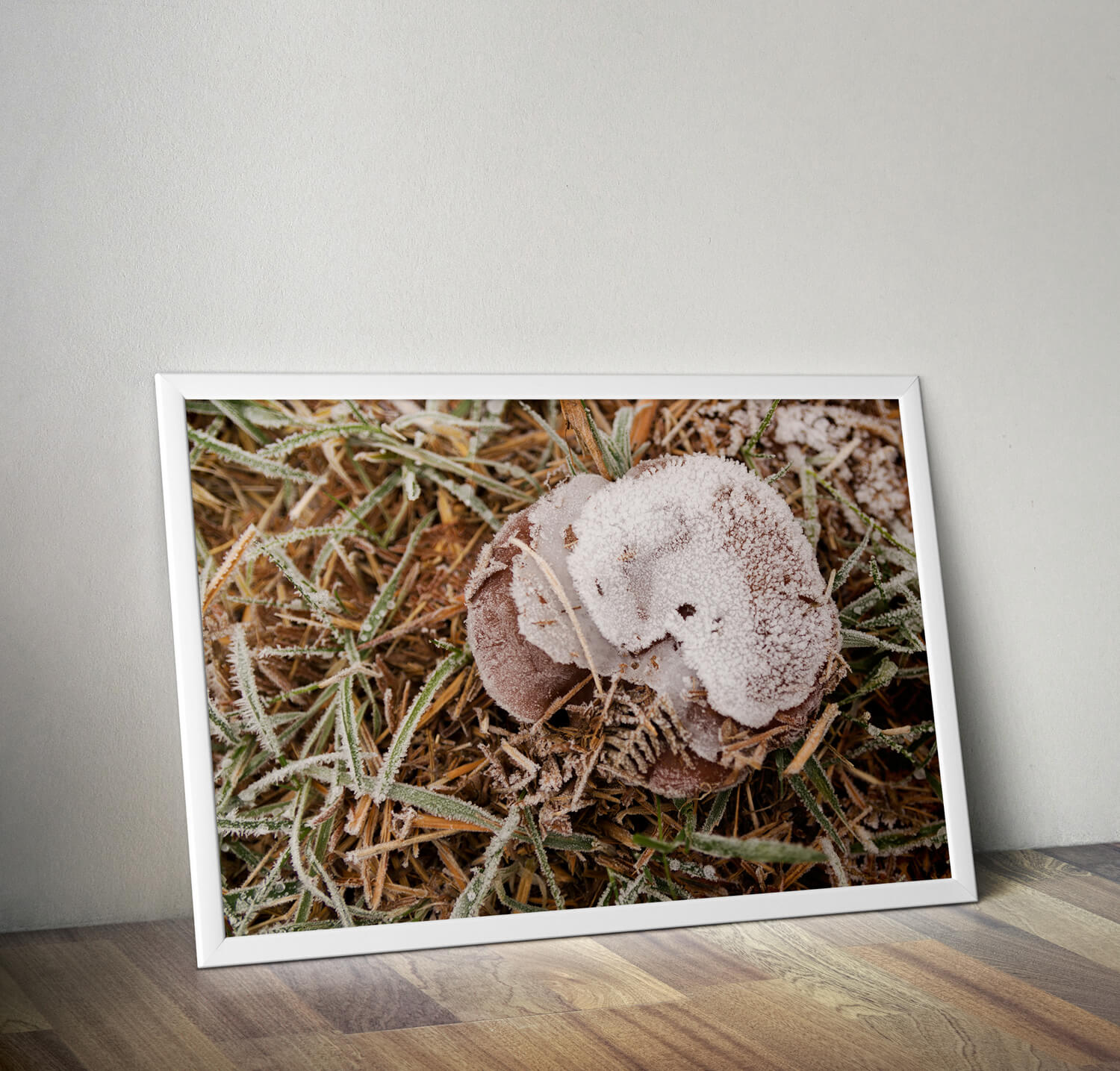 Frosty Autumn Poster - Natuur Wanddecoratie