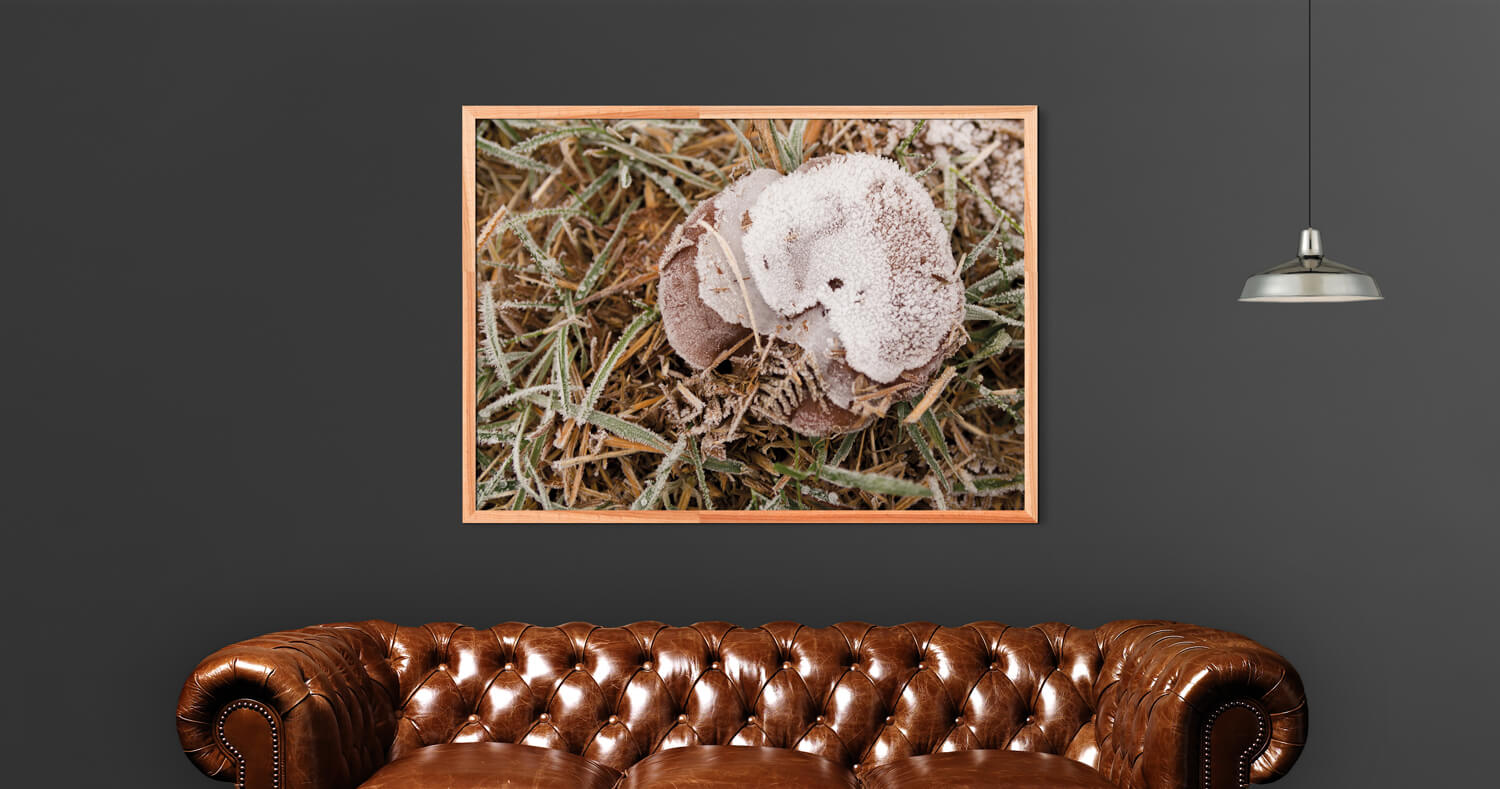 Frosty Autumn Poster - Natuur Wanddecoratie