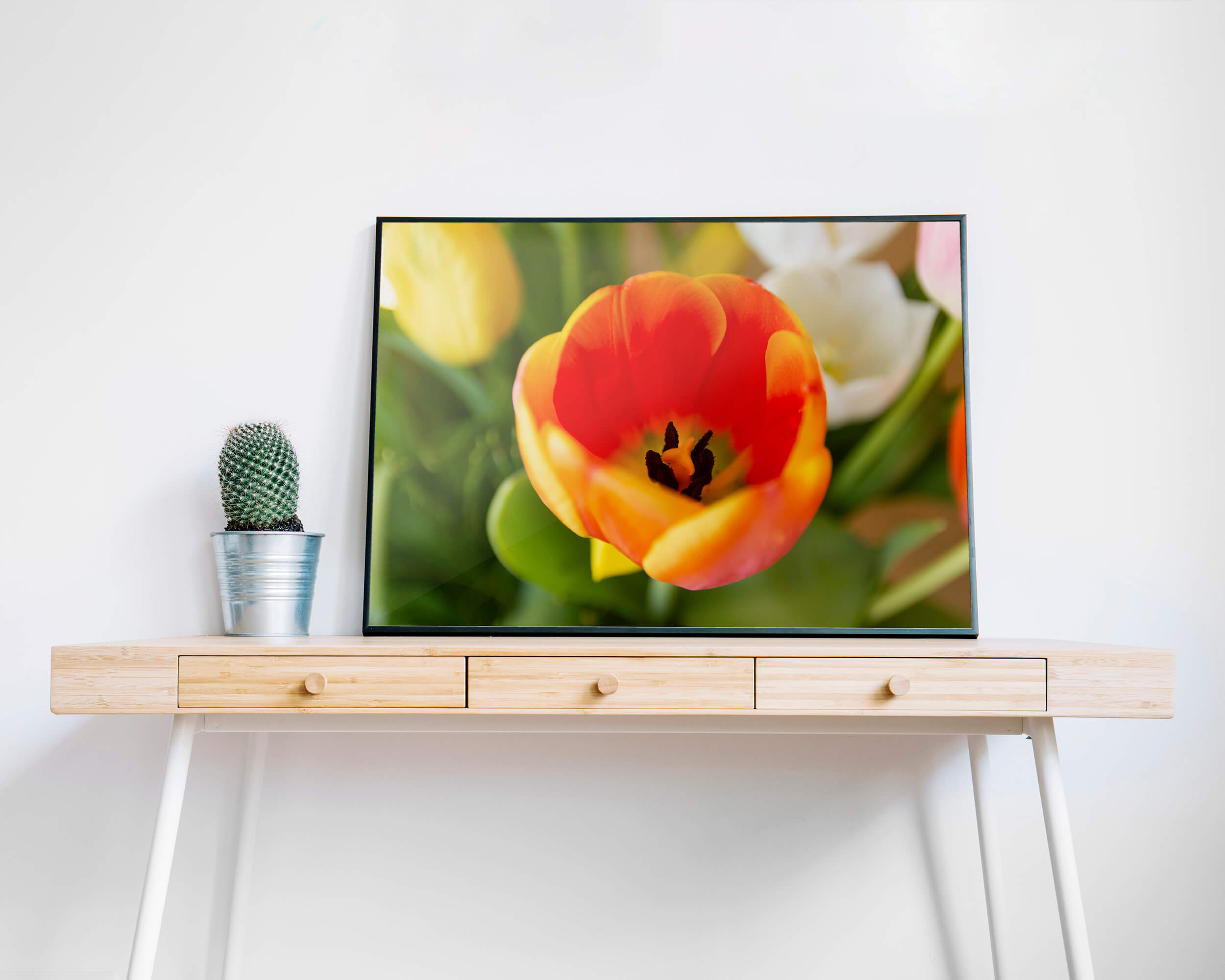 Oranje Tulp Macrofotografie Poster - Natuur Wanddecoratie