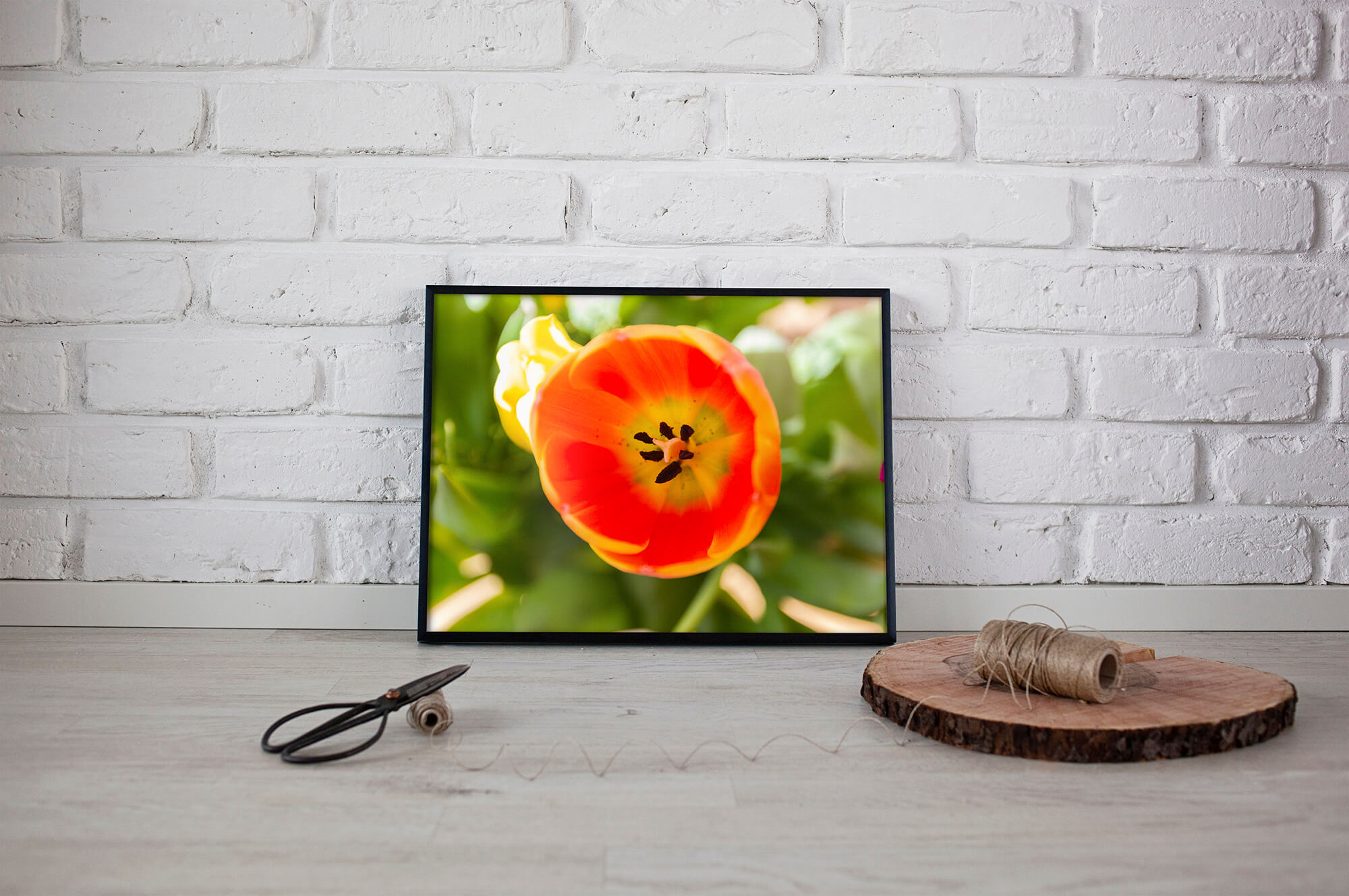 Oranje tulp macro foto poster - Natuur Wanddecoratie