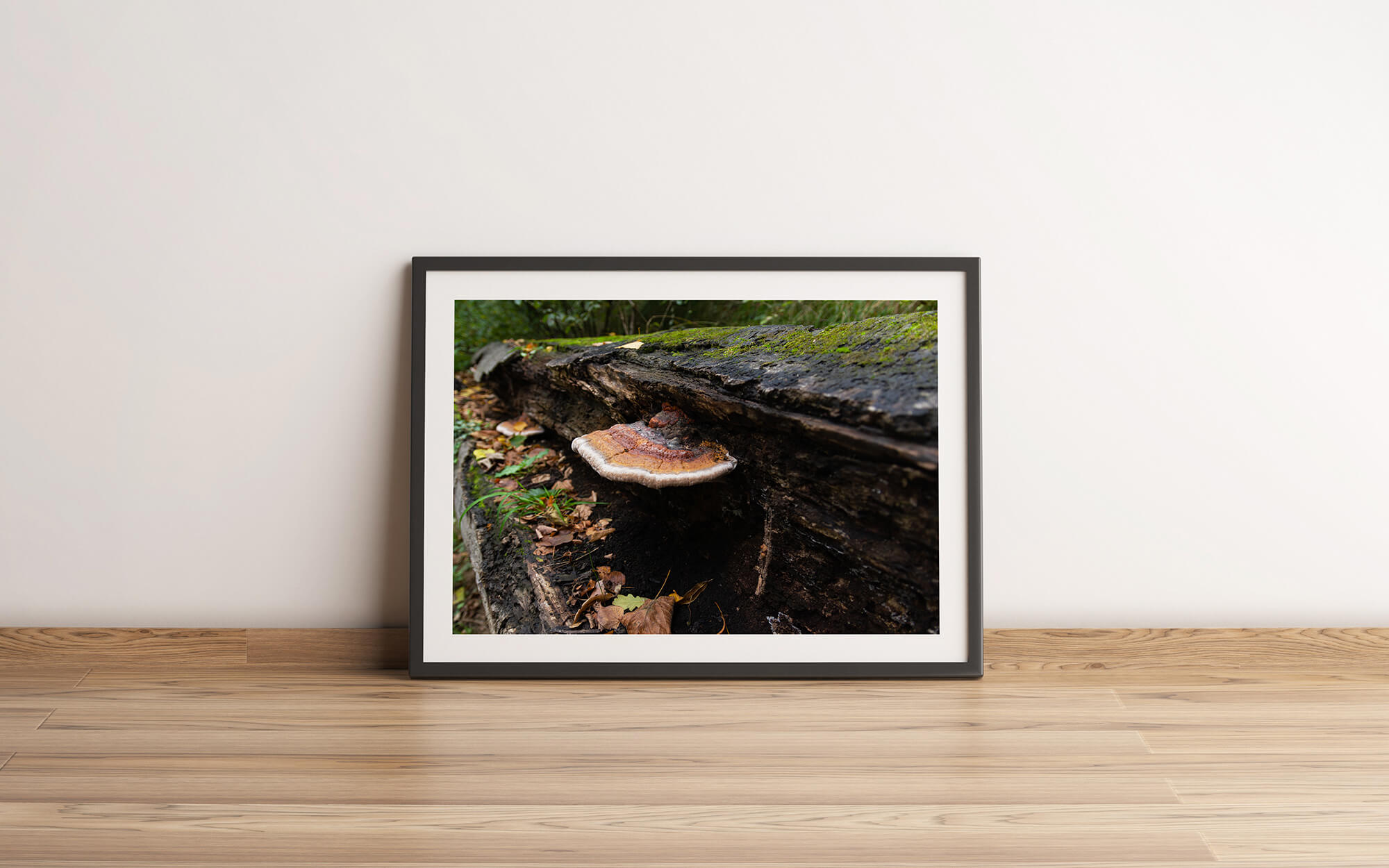 Paddestoel aan een boom - natuur wanddecoratie
