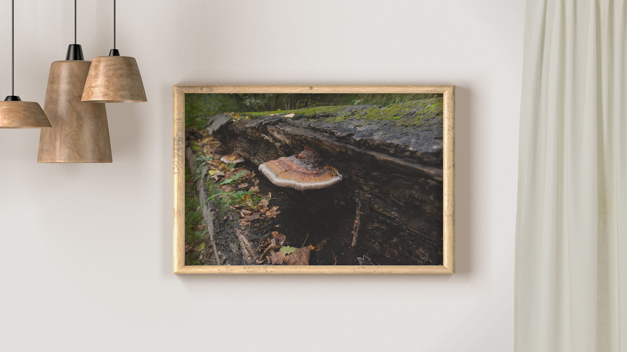 paddestoel aan boomstronk poster en print