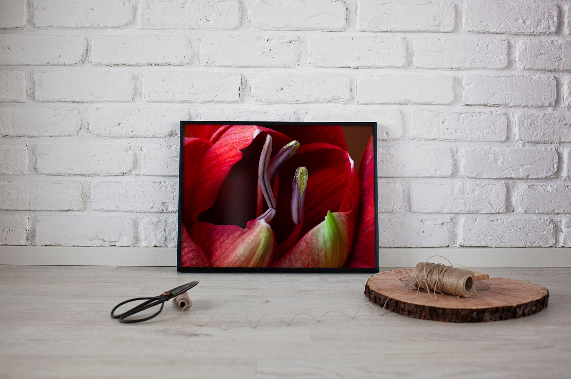 Amaryllis close-up - botanische poster en canvas print