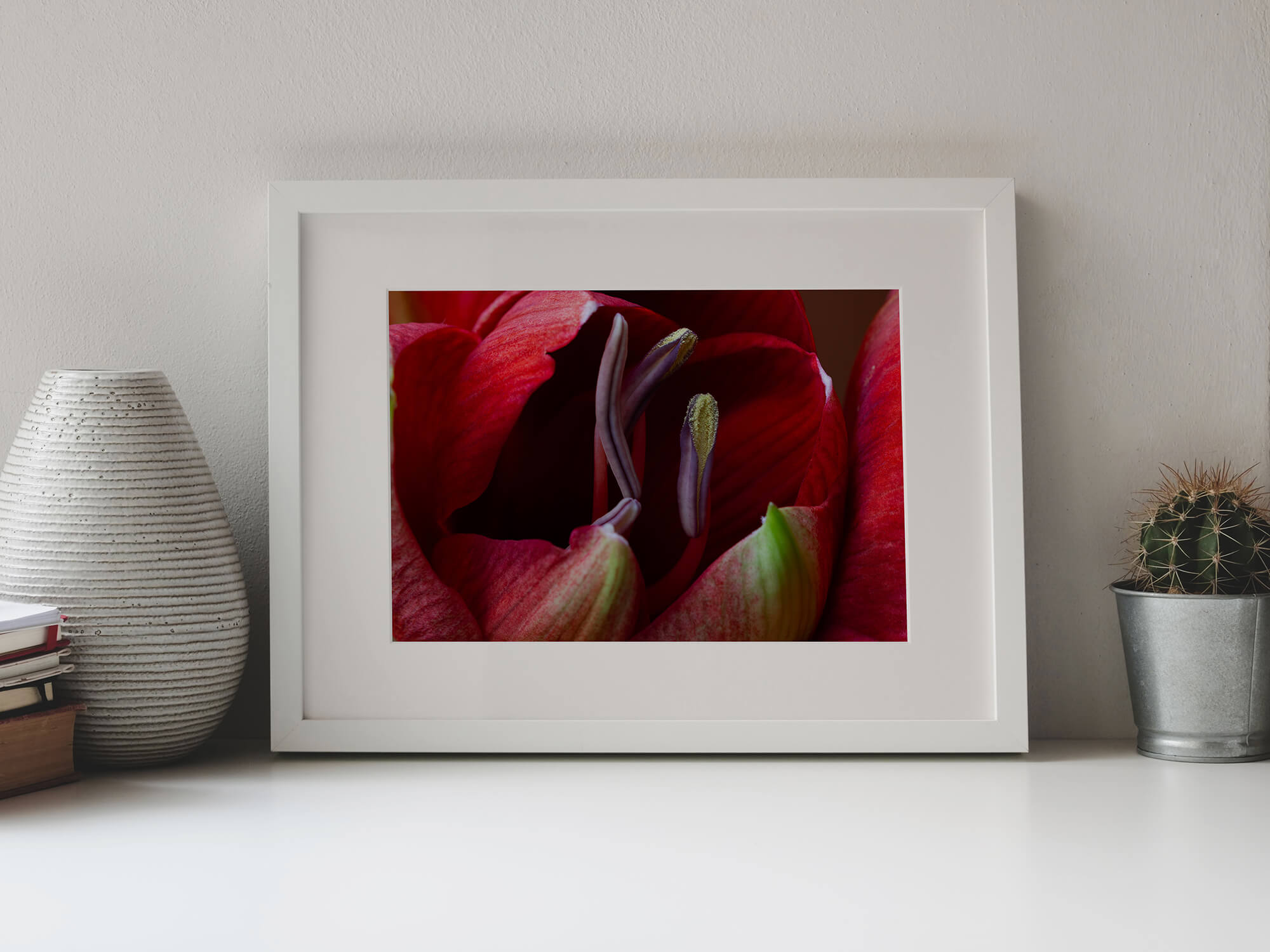 Amaryllis in de knop - natuur wanddecoratie