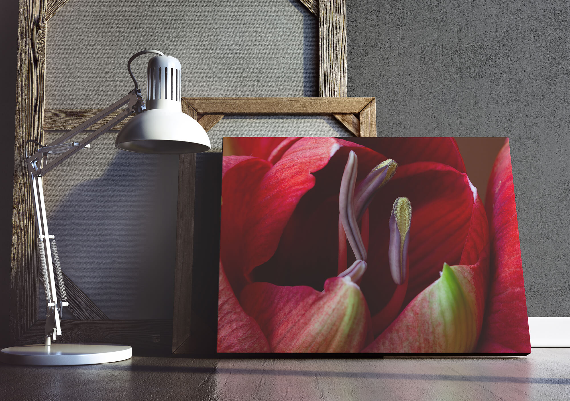 Ontluikende Amaryllis - Natuurfotografie